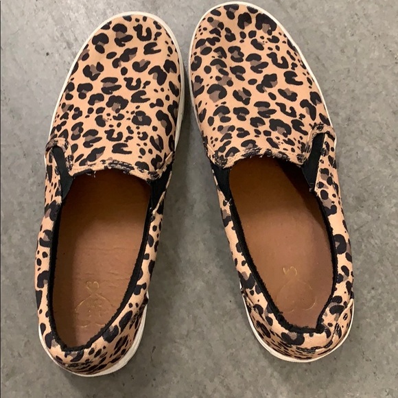 Leopard Print Shoes - Picture 4 of 4